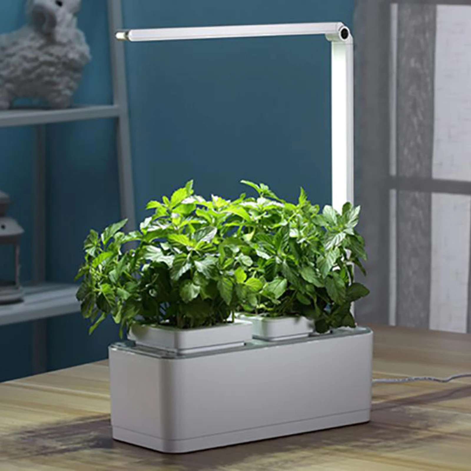

Indoor Garden LED Grow Light Kit Reading Lamp For Vegetable Plants Herbs AU Type