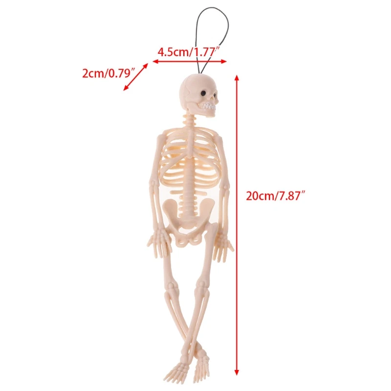 Скелет человека модель Череп всего тела мини-фигурка игрушка вешалка для