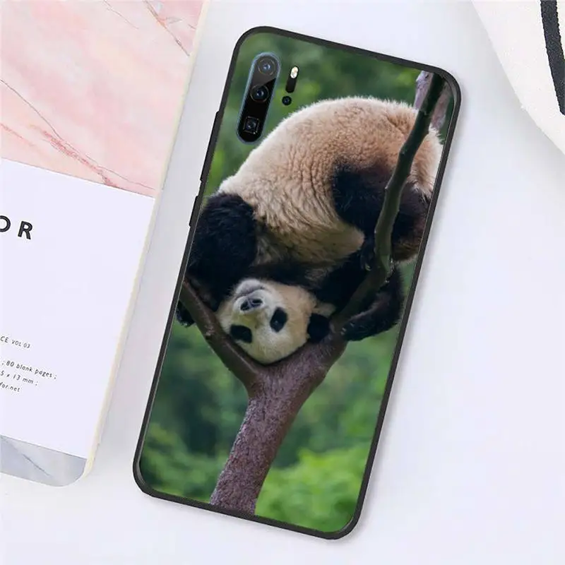 

Cute animal panda national treasure Phone Case For Huawei honor Mate P 10 20 30 40 Pro 10i 9 10 20 8x Lite Y91C V17 6.38 6.44