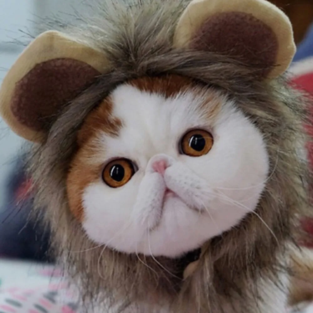 Забавная Милая домашняя кошка костюм парик льва шапка для кошки собаки Хэллоуин Рождественская одежда нарядное платье с ушками одежда для домашних животных@ A