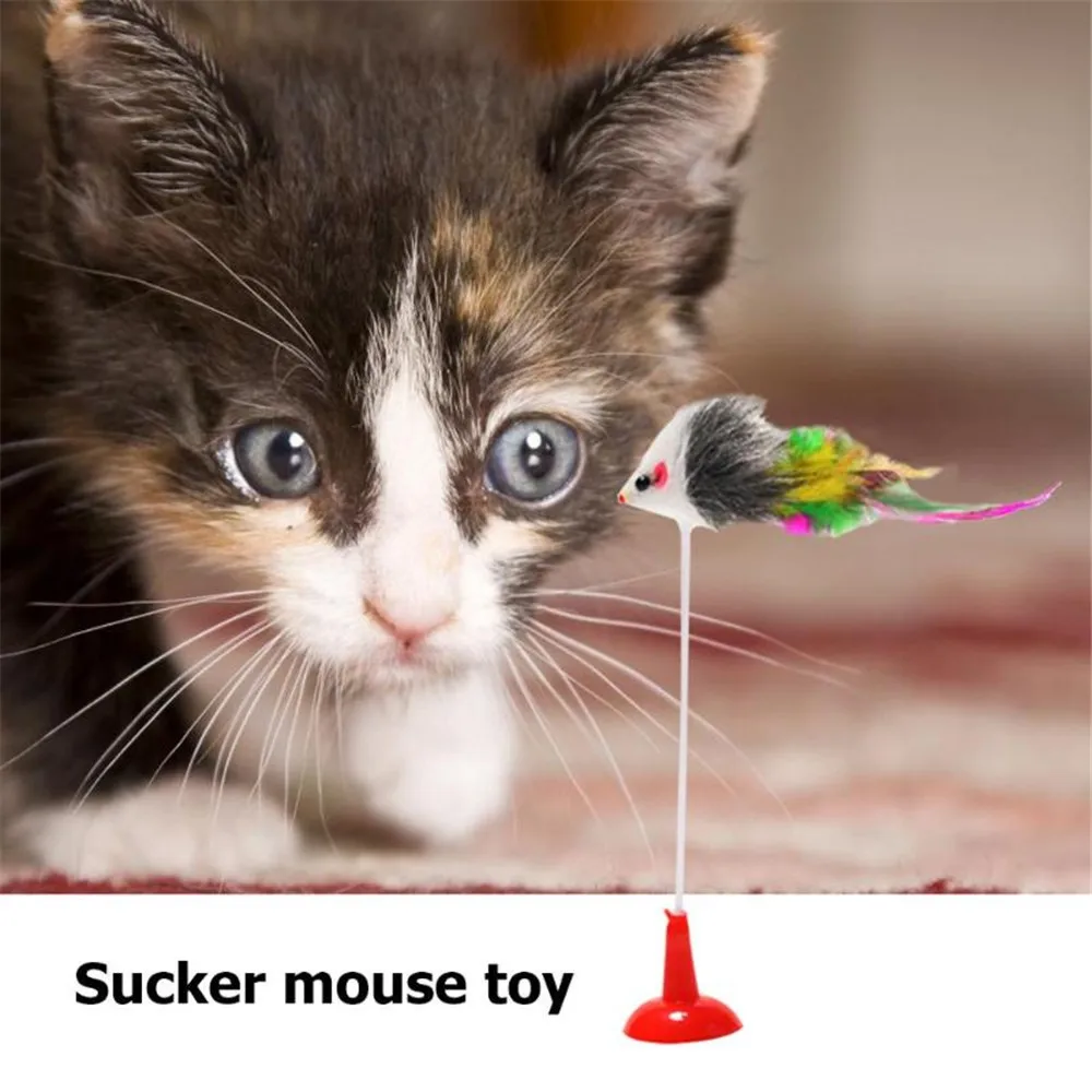 1 шт. Забавный для домашнего котика интерактивная игрушка весна присоска ложное