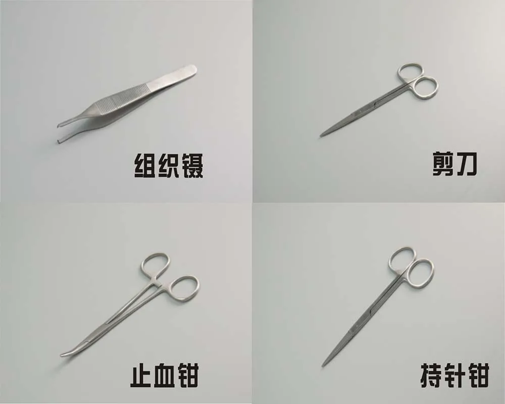 Набор для стоматологической практики, оральная модель, Swaged needle, набор инструментов для обучения с гелем селика для стоматологических студентов, обучение пероральному шову