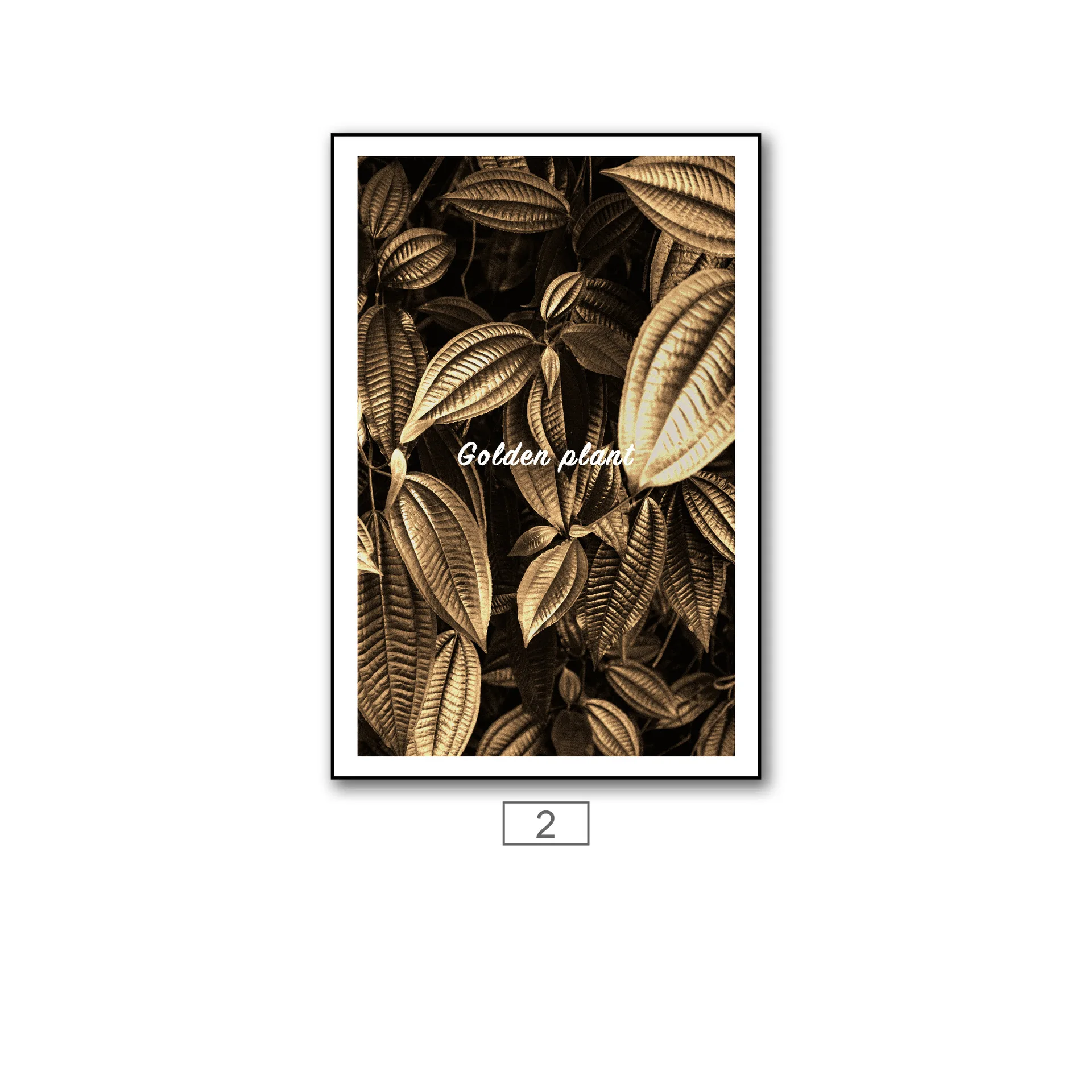 

Room Decor Wall Art Vintage Posters Paintings Interior Canvas Modern Nordic Aesthetic Living Room Golden Plantain Leaf Pineapple