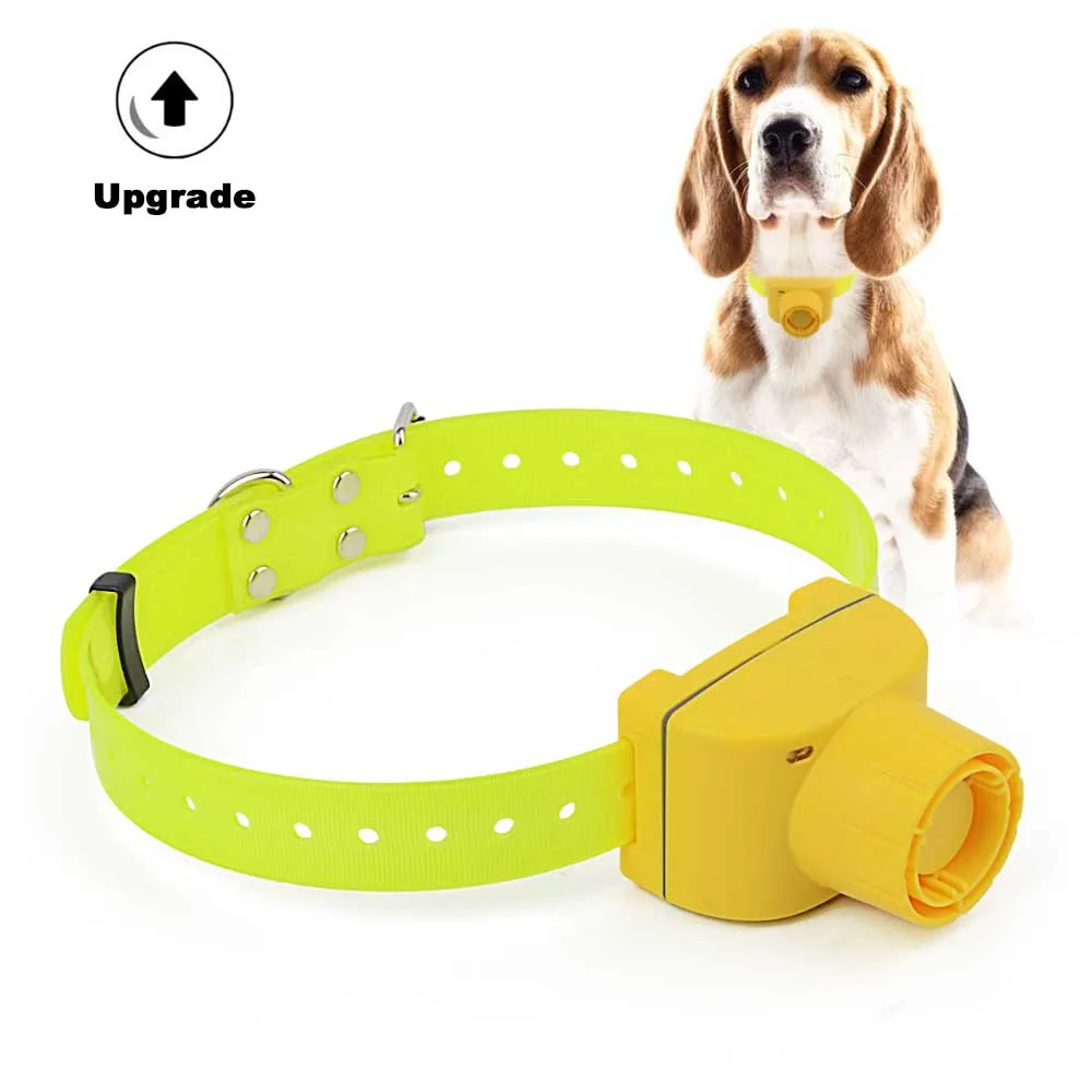 

Pet Products