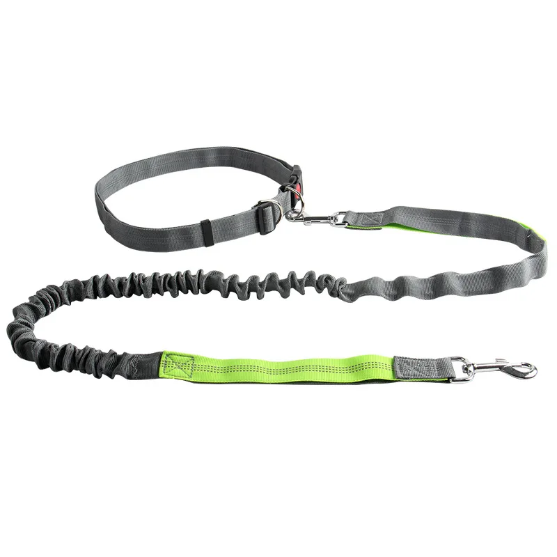 

Выдвижной Поводок для домашних питомцев, регулируемый светоотражающий, с двумя ручками, для бега, ходьбы, банджи