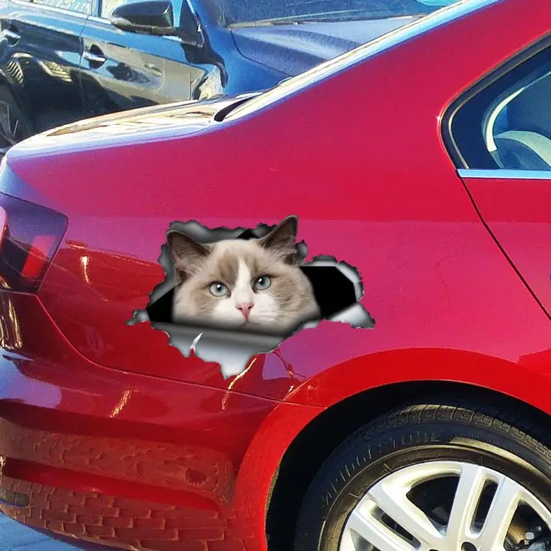 

2021 Ragdoll cat car decal , Ragdoll cat magnet, Ragdoll cat sticker
