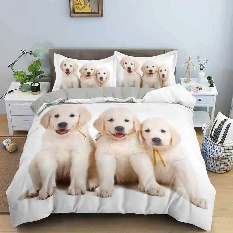 

3D