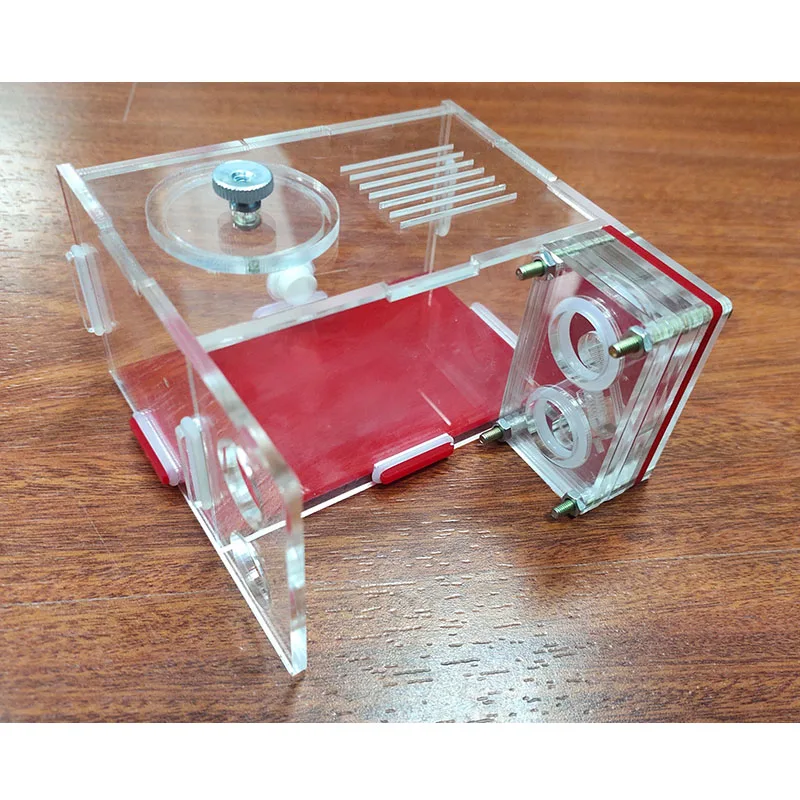 Ant Workshop Double Test Tube Nest Desktop Decoration Mini Pet Alternative Birthday Gift 15mm Caliber Acrylic | Дом и сад