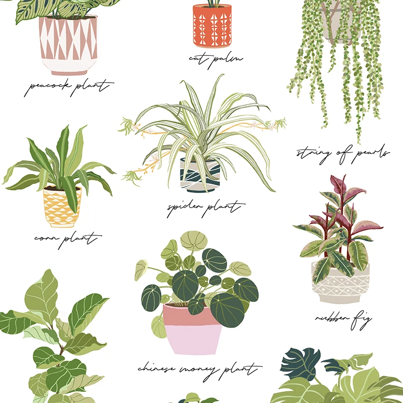 Живопись на холсте для домашних растений ботанические настенные художественные