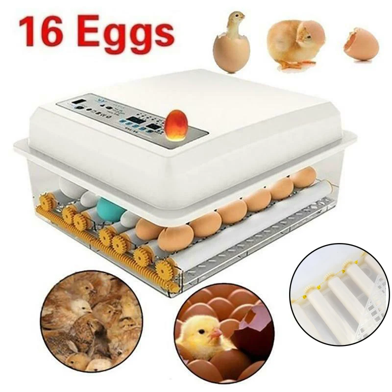

110V/220V Household 16 Eggs Incubator Double Power Intelligent Automatic Egg Hatchers for Chicken Duck Goose Pigeon Bird Quail