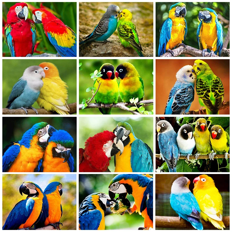 Полная квадратная круглая Алмазная картина попугай животные вышивка распродажа