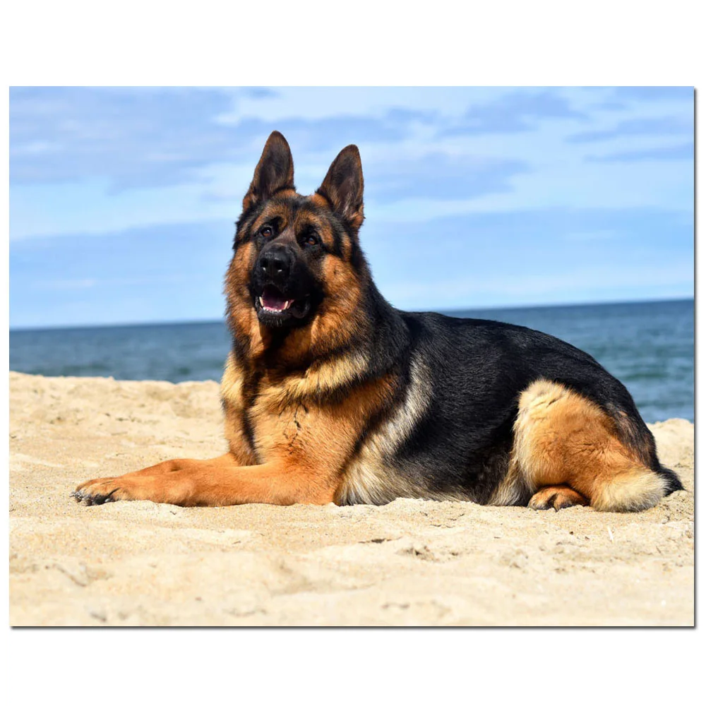 Пособия по немецкому языку пастырь алмазов картина камни в форме ромба с принтом