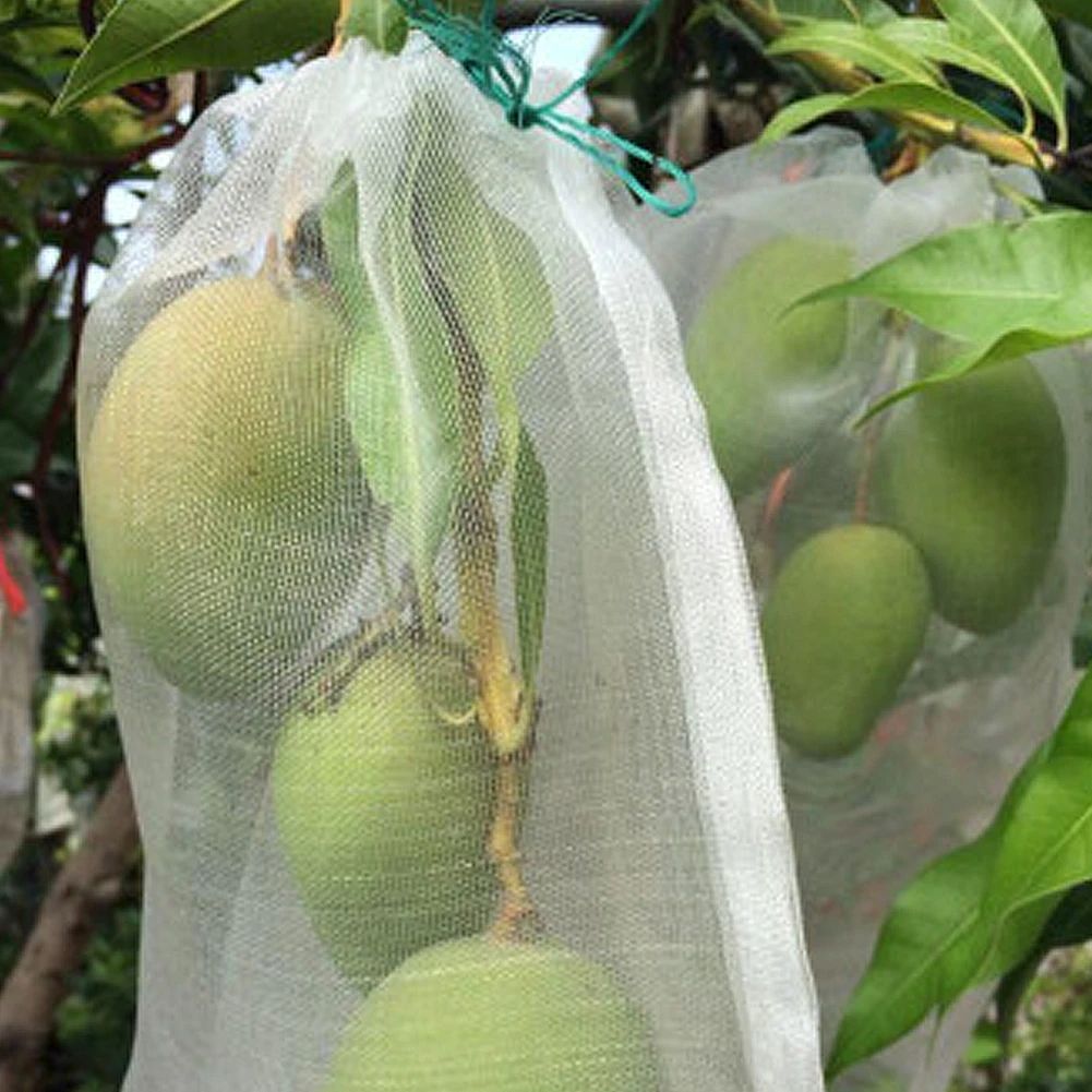 

Large Garden Crop Plant Protection Net 60 Mesh Greenhouse Anti Insect Pest Fly Net Garden Plant Protection Netting In Stock