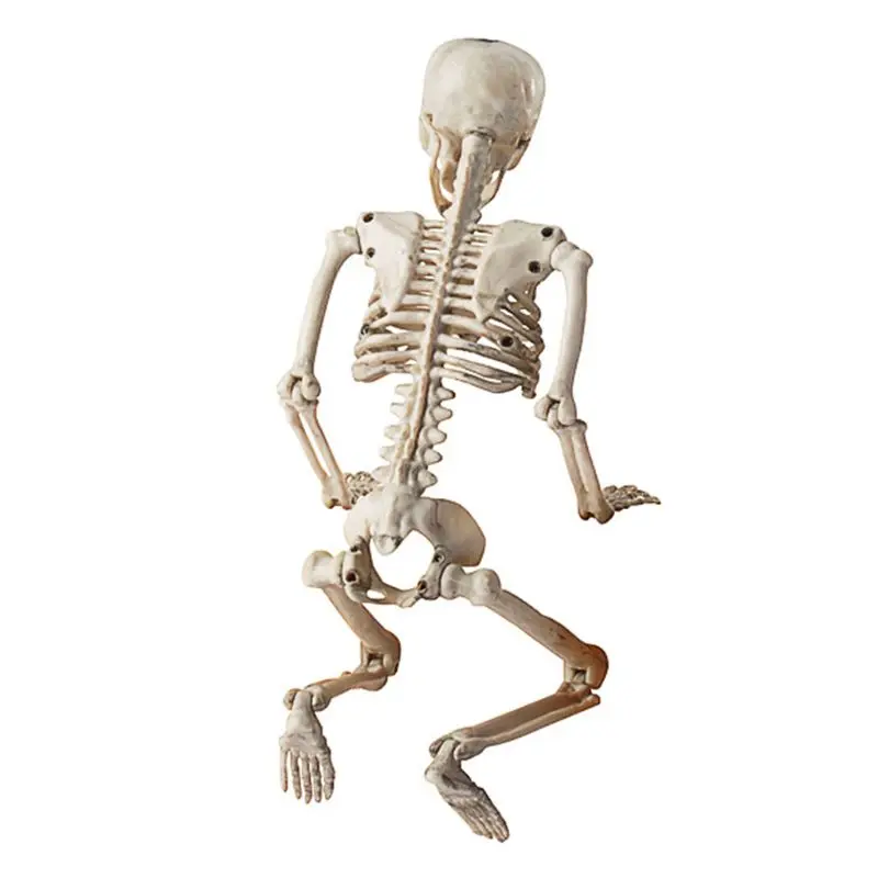 

36cm Lifelike Human Bones Halloween Skull Skeleton Decoration Anatomy Model Scary Props