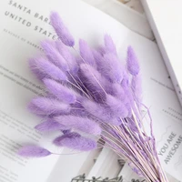 510pcs natural rabbit tail grass dried flowers wedding party diy craft scrapbook dry flower bouquet for home outdoor decor gift