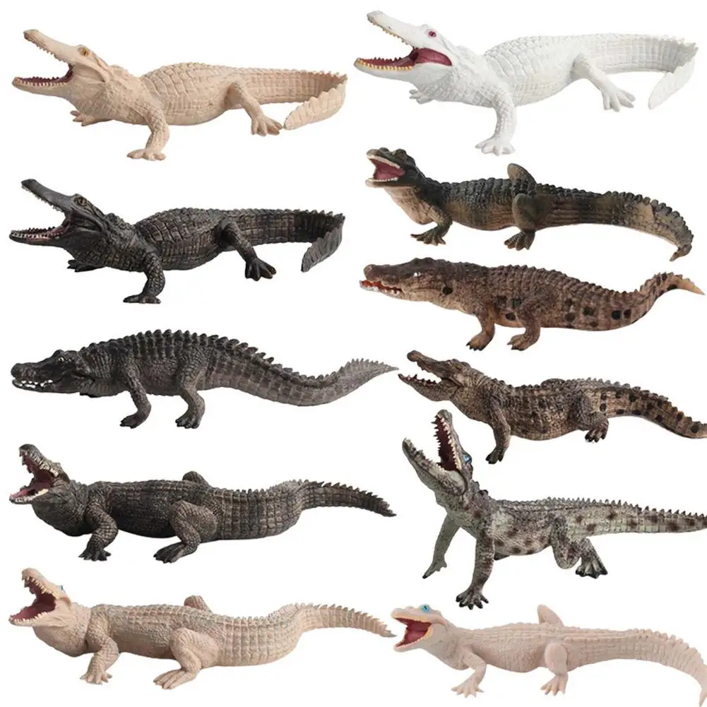 

Jungle Alligator Figures Toys Realistic Crocodile Handle Model Toy Set Toddler Educational Toy Model Set For Cultivating 5 6 7 8