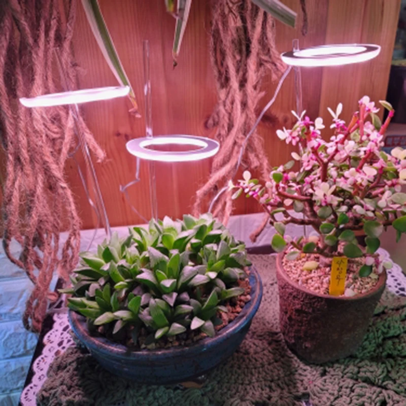 

LED Phyto Lamps 5V USB Led Full Spectrum Grow Light 3W Led Bulbs Seedling 10 20 30leds 6W Plant Growing Lamp For Greenhouse 9W