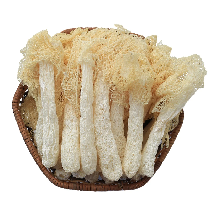 Phallus Indusiatus грибок Stinkhorn бамбуковый гриб Zhu Sun | Дом и сад