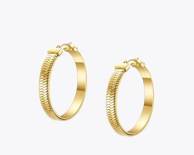

Timeless Wonder Titanium Snake Chain Circle Statement Earrings Women Jewelry Punk Gothic Designer Top Rock Trendy Ins Rare 7527