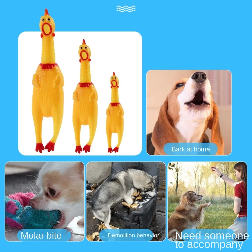 Screaming chicken pet cat dog toy squeeze squeak funny safety rubber molar chew supplies small dogs | Дом и сад