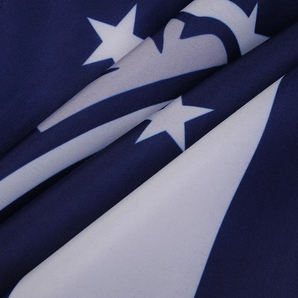 Новинка высококачественные команда флага спортивный Portabl вентиляторы флаг для