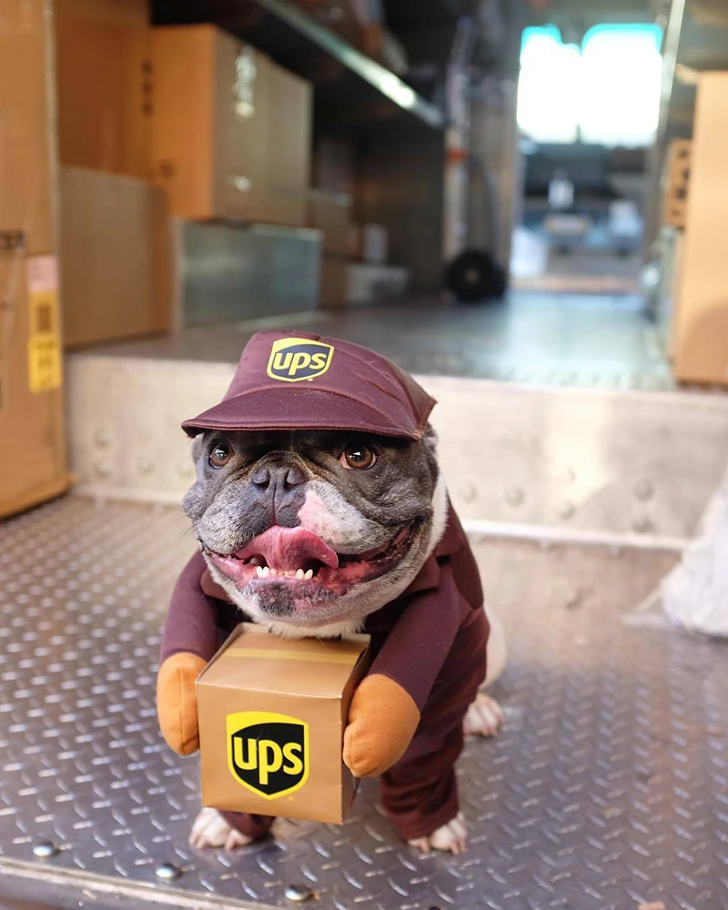 Коллекция костюмов UPS Pal одежда для больших собак Disfraz De Dog Хэллоуина вечерние