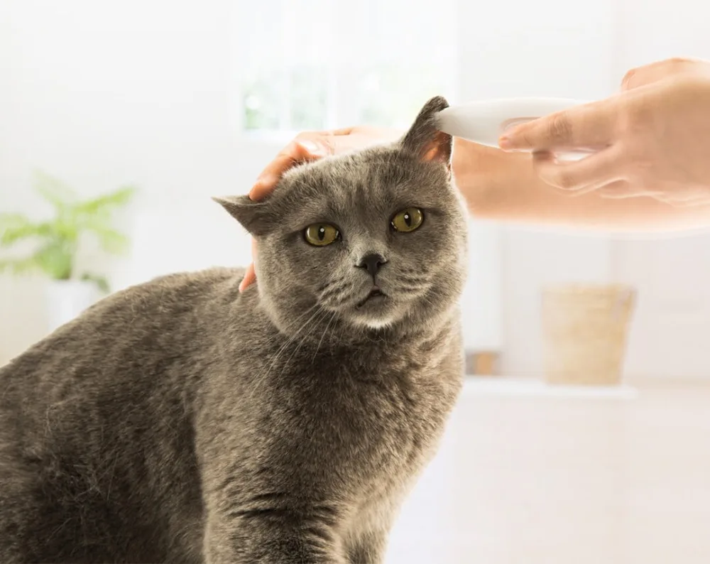 Xiaomi Pet точный триммер кошка Груминг для собачьей шерсти местная бритва уши глаза ноги шов предохранительный резак головы