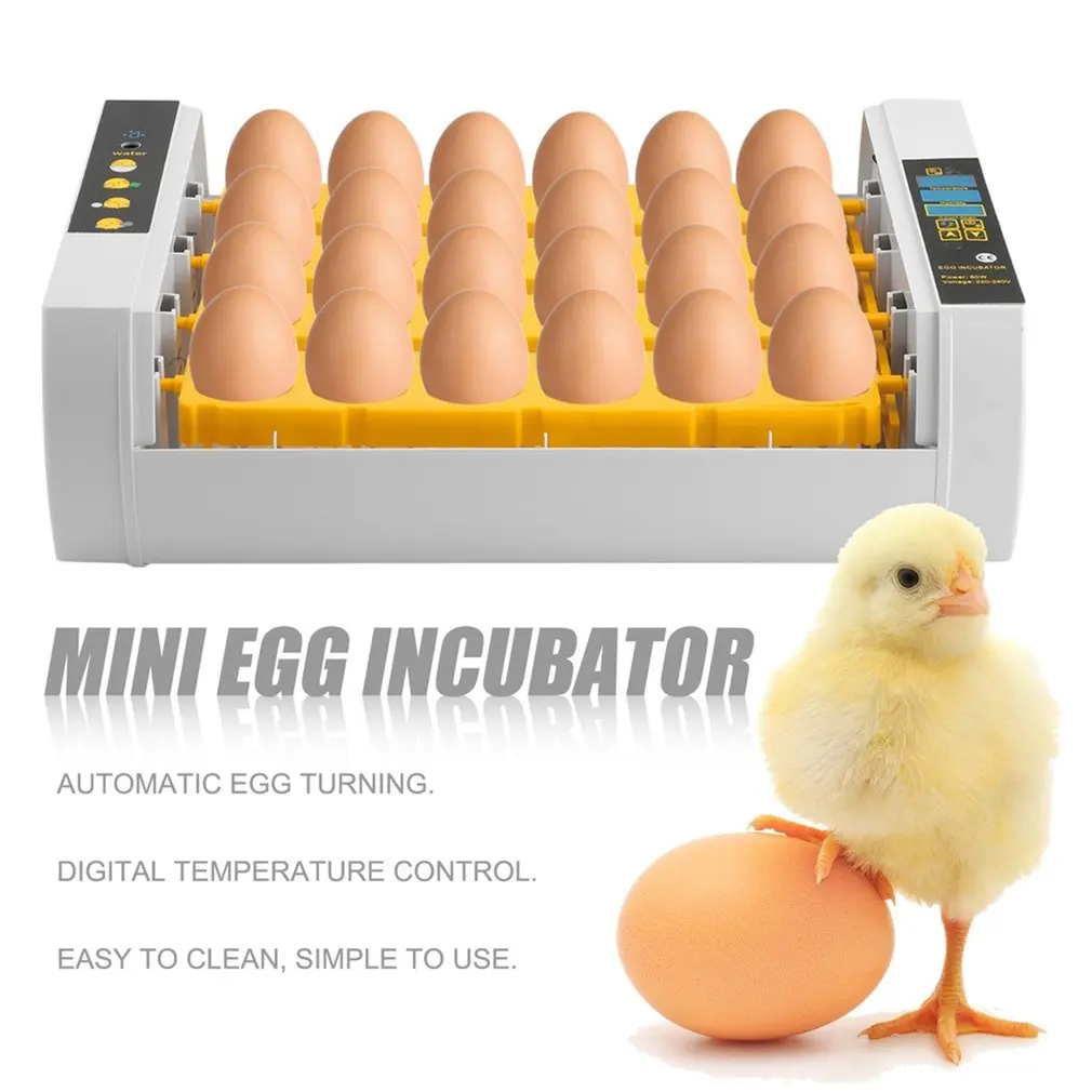 

Large Capacity Practical 24 Eggs Mini Incubator For Chicken Poultry Quail Turkey Eggs Home Use Automatic Egg Turning
