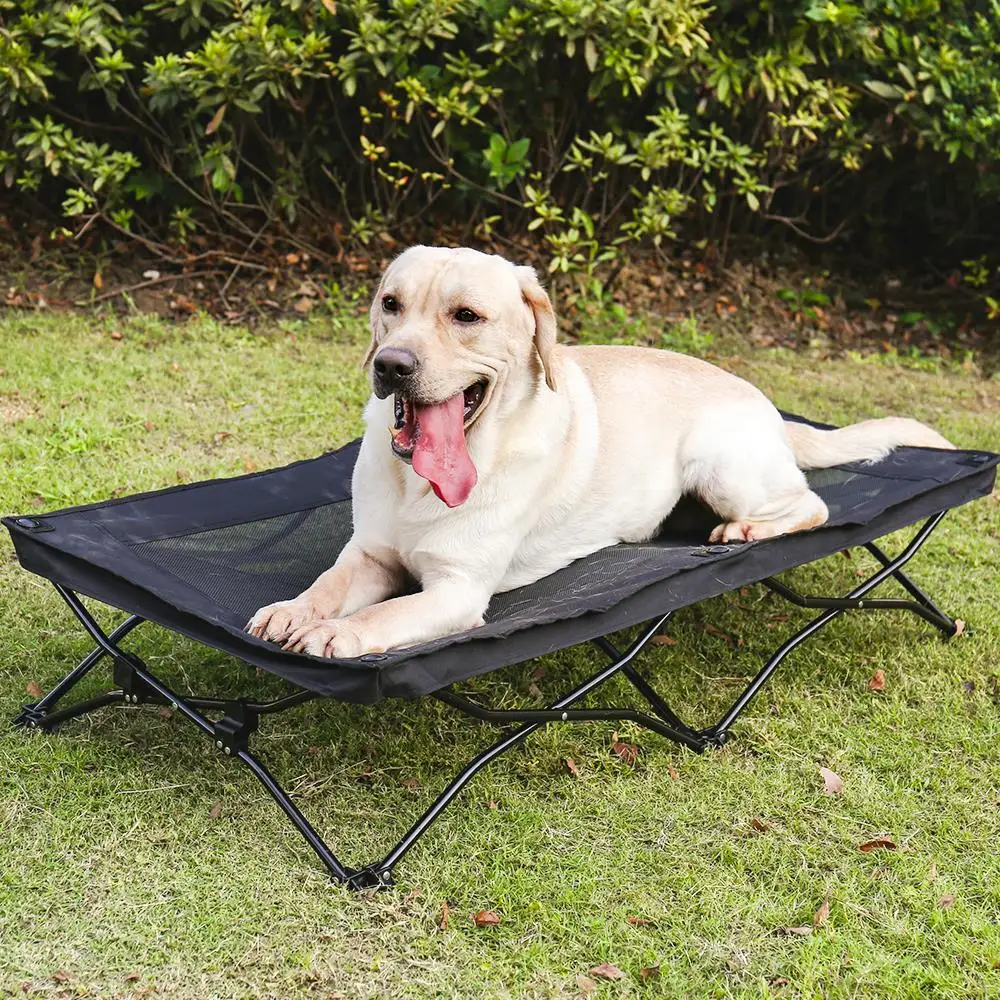 Beste Hochbetten für große Hunde