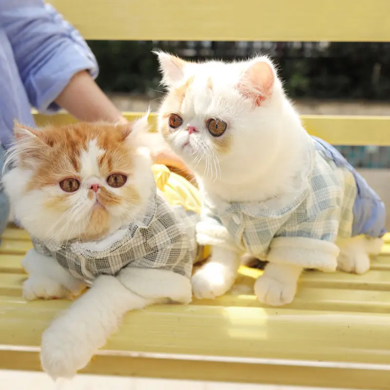 Теплые толстовки с котом Рождественский наряд роскошный костюм кошки свитер Ropa