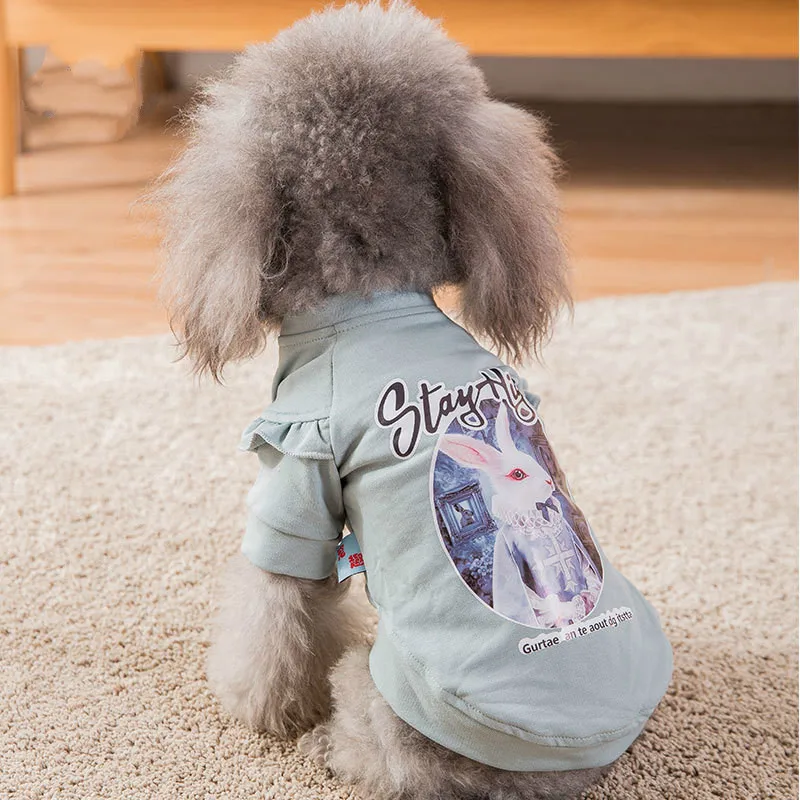 Одежда для щенков кошек животных модный плюшевый свитер одежда собак толстовка