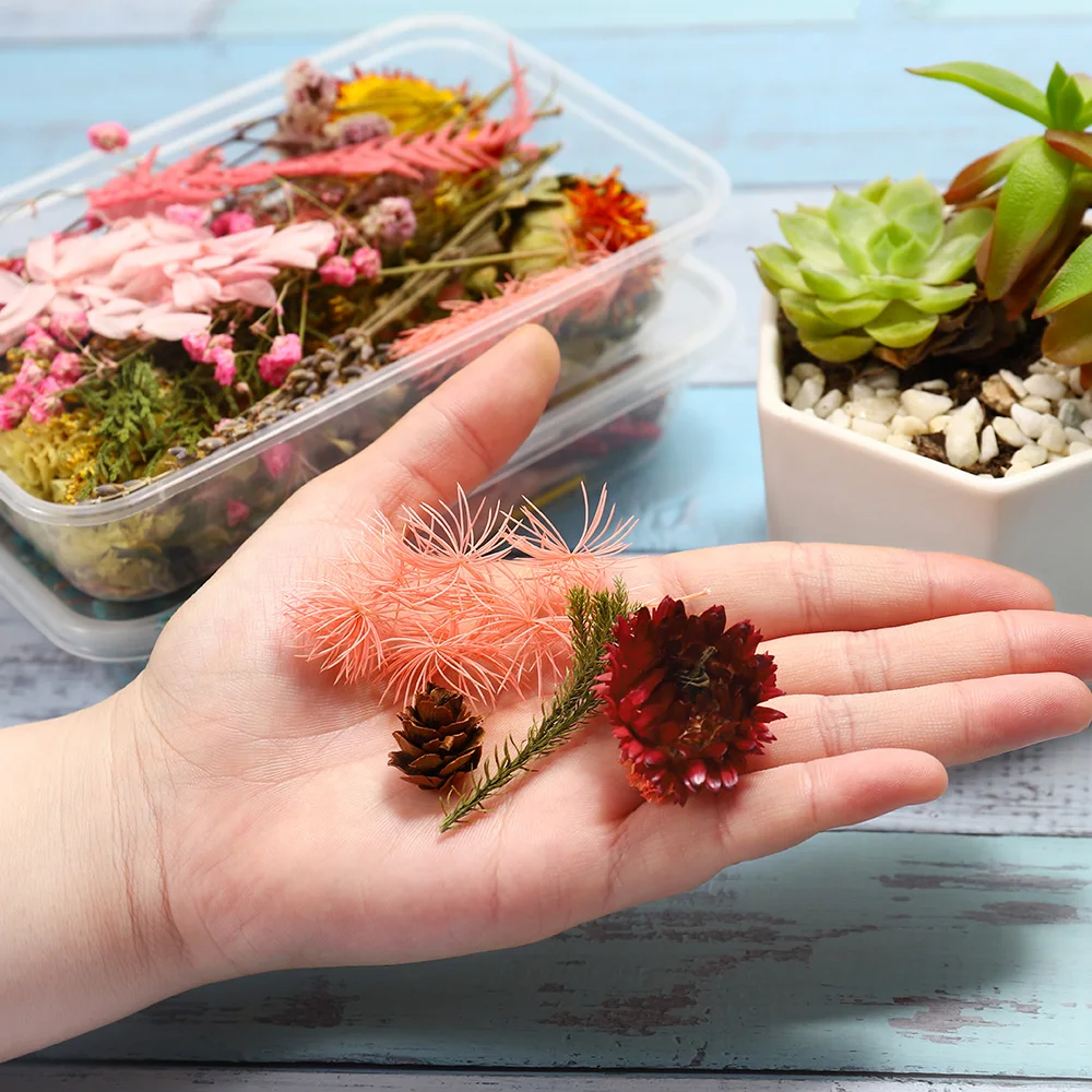 

1 Box Mixed Color Real Dried Flower Candle Epoxy Resin Molds Candle Nail Dried Flower Filler For DIY Jewelry Making Accessories