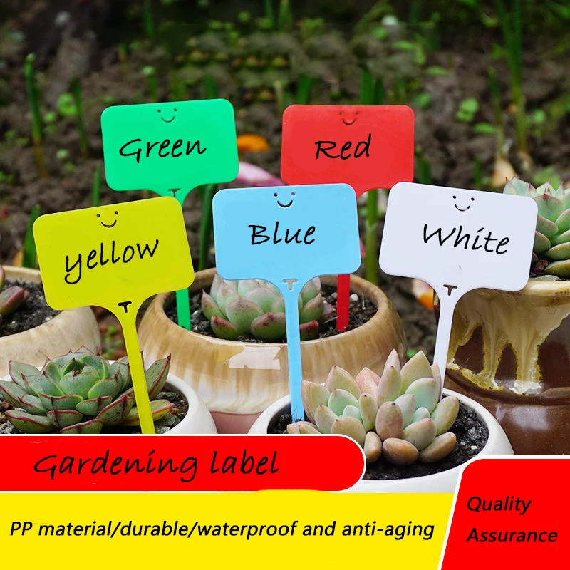 

Этикетка флейта, идентификационный цветок и зеленая флейта, запись названия растения, водонепроницаемая пластиковая карта