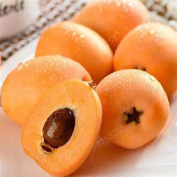 5 шт фрукт локвы дерево мушмула японская куст Такер китайский бонсай сладкий вкус