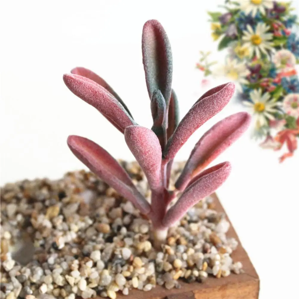 Искусственные растения суккуленты ремесло флористика украшение пластиковые для