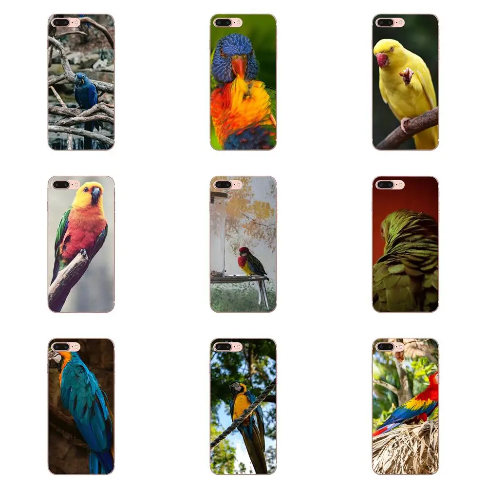 Мягкий чехол для птиц Macaws фиолетовая сова стиль huawei Honor mate 7 7A 8 9 10 20 V8 V9 V10 G Lite Play Mini