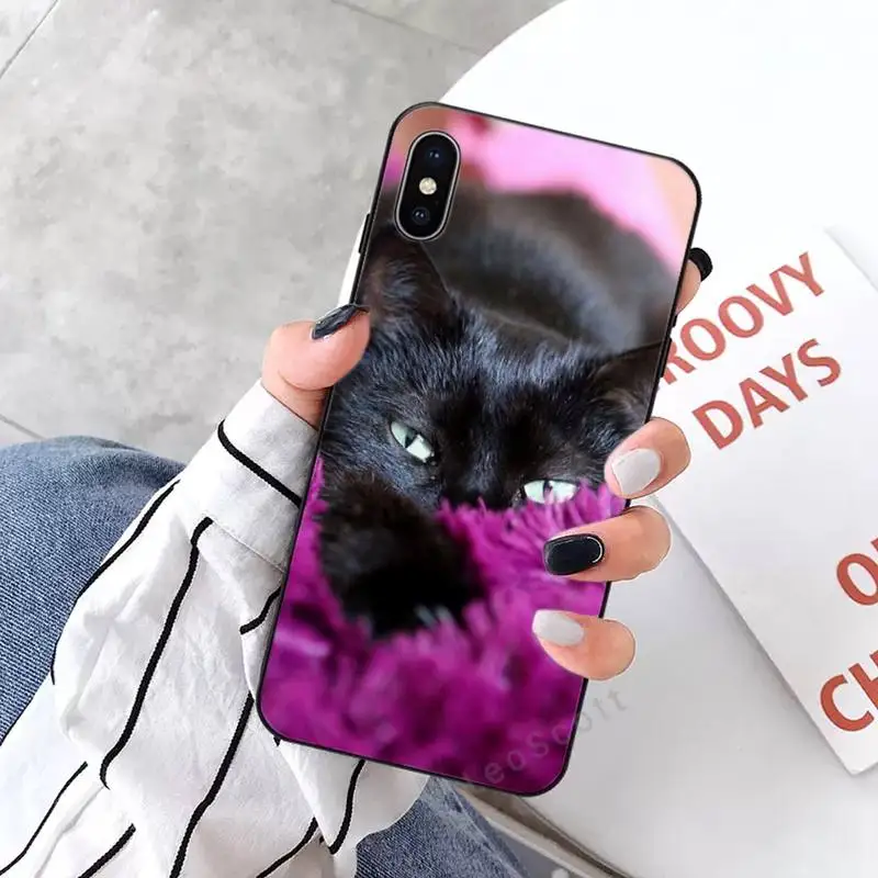 

Black Cat Staring Eye cute animal luxury design Phone Case coque for iPhone 11 12 pro XS MAX 8 7 6 6S Plus X 5S SE 2020 XR