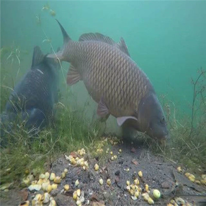 

Underwater camera 5 mega-pixel visual fishing WiFi connection Phone tablet 8LED illuminated fish finder Fishing accessories