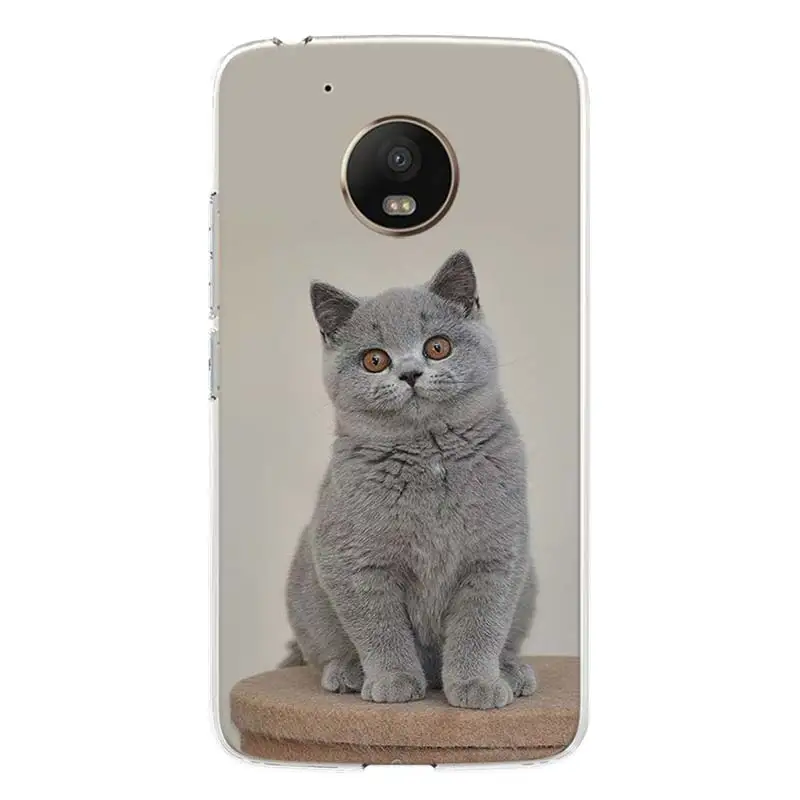 Чехол для телефона с британским котом короткого замыкания Motorola Moto G9 G8 G7 G6 G5S E6 E5 Plus