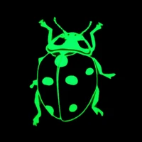 patches noctilucent ladybug stickers for clothes thermal transfer printing pattern diy decoration animal style luminous patch