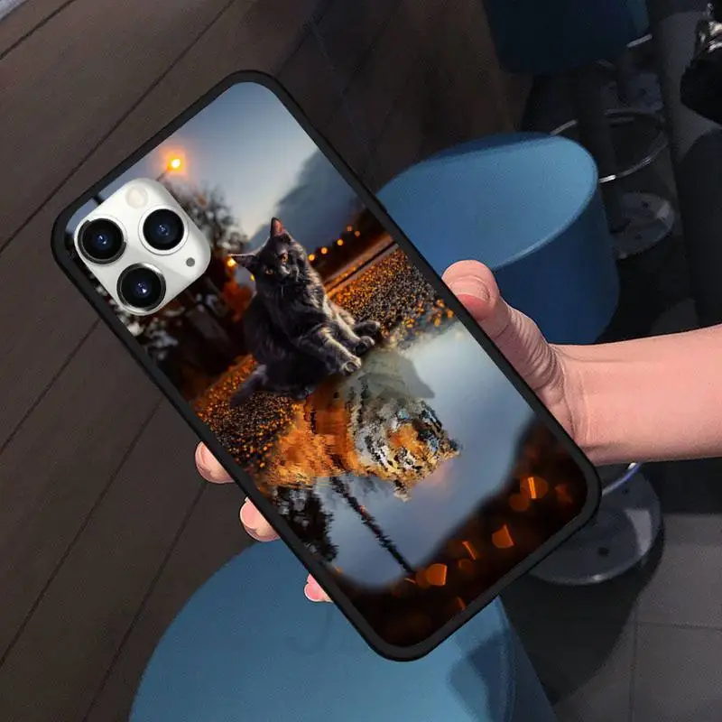 

cat tiger Phone Case for iPhone 11 12 pro XS MAX 8 7 6 6S Plus X 5S SE 2020 XR shell cover funda shell Funda