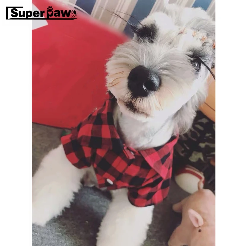 Модная футболка для собак летняя одежда маленьких средних щенков пальто шнауцер