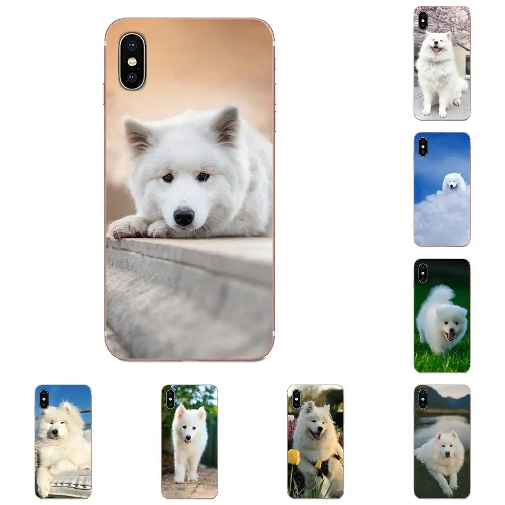 Для Galaxy Alpha Note 10 Pro A10 A20 A20E A30 A40 A50 A60 A70 A80 A90 M10 M20 M30 M40 TPU Phone Capa White Samoyed Dog Lovely|Бамперы| |