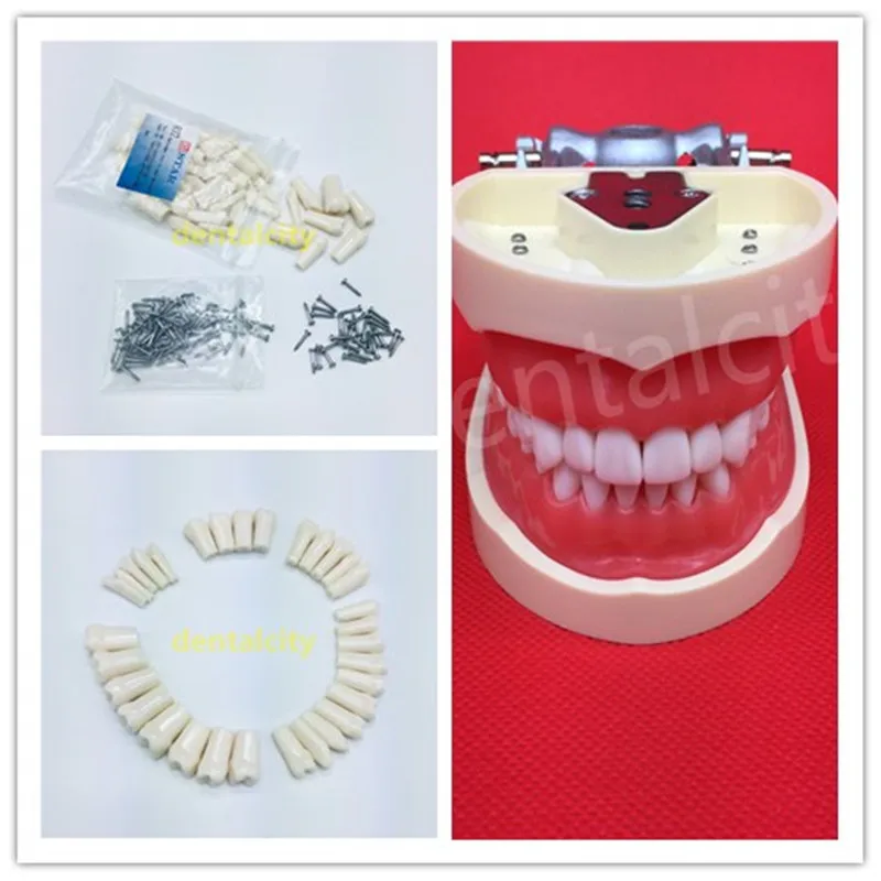 1 пакет смолы имитация зуба зерна Стоматологическая модель для