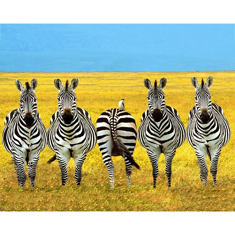 

DIY 5D Diamond Painting Animal Zebra Cross Stitch Mosaic diamond embroidery Needlework Patterns Rhinestone paintings