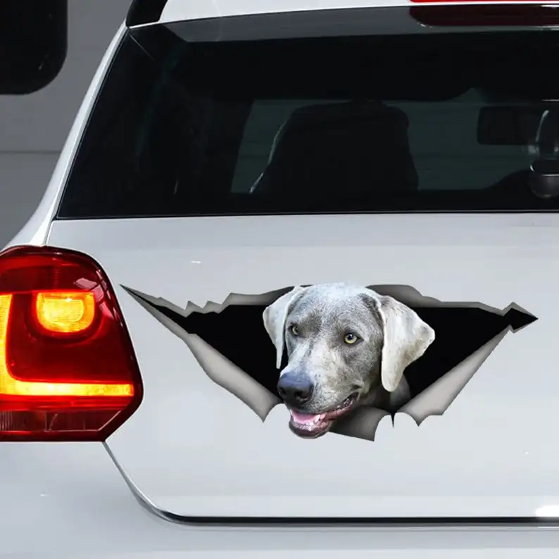 

2021 Silver Labrador Decal, Labrador magnet, silver lab sticker, dog decal, Laptop Decal