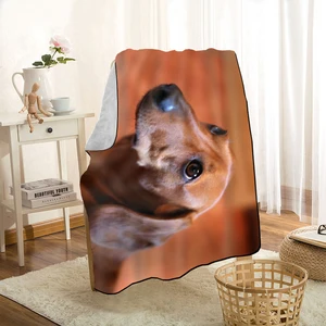 cute dachshund dog pet throw blanket personalized blankets on for the sofabedcar portable 3d blanket for kid home textiles free global shipping