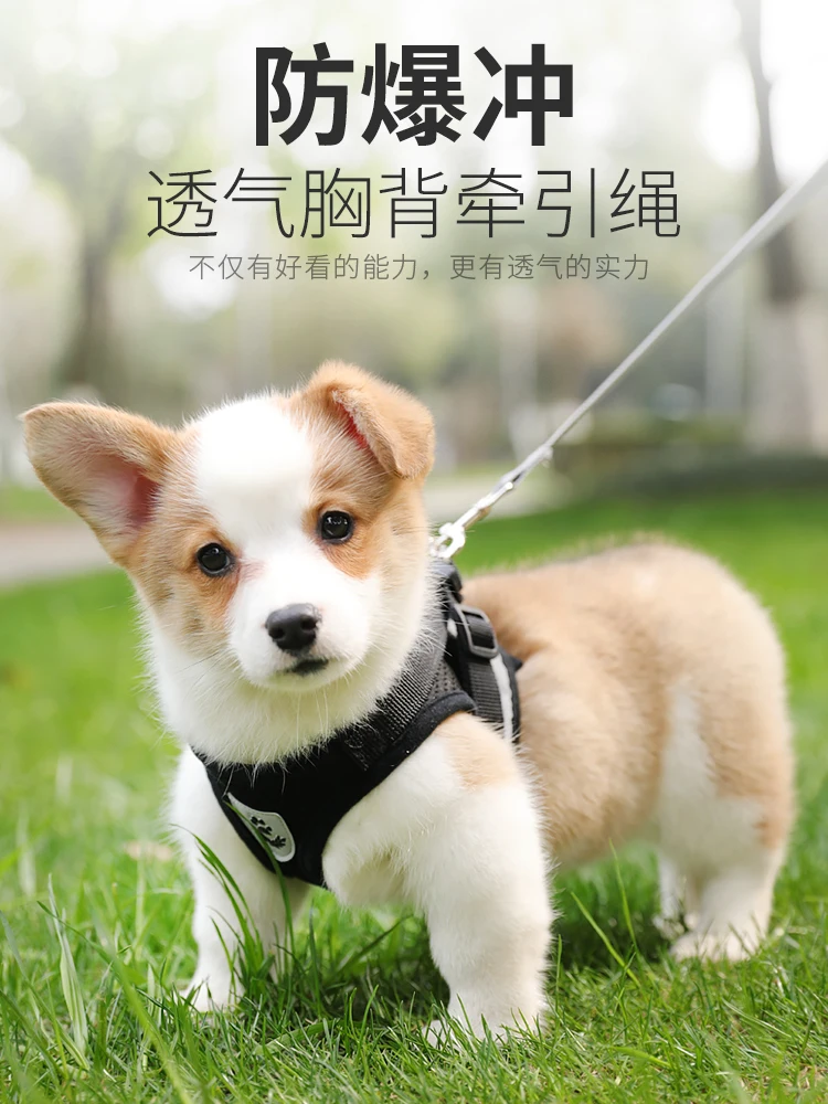 

Жилет для собак, Тяговая веревка для маленьких собак, нагрудный ремень, Тедди, корги, щенков, щенков, цепь для щенков, прогулочная веревка для...