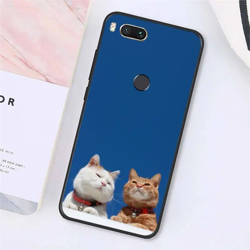 

cute cat Phone Case For Xiaomi Redmi 8 9 9t 5plus 9se k20 mi8 max3 lite 9 note 6 8 9t 9s 10 pro