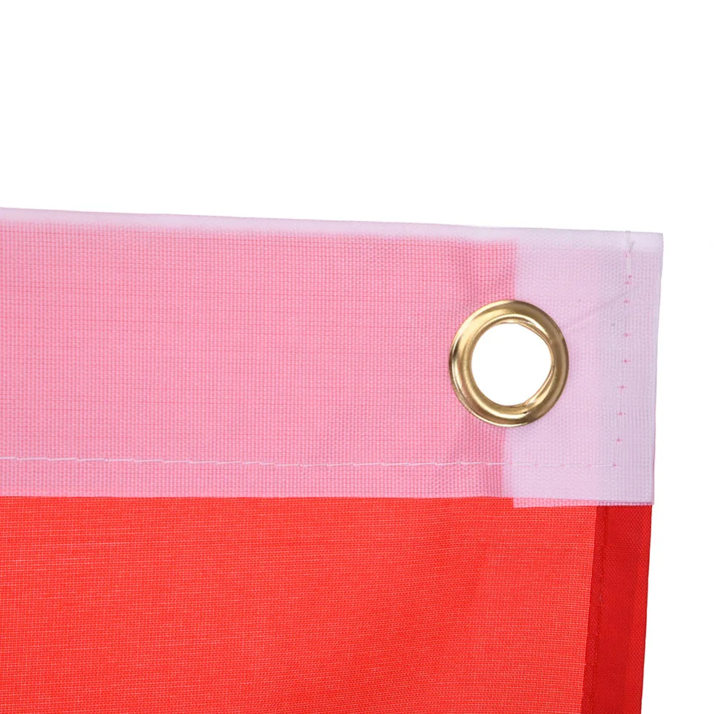 Китайские украшения для дома флаг из полиэстера баннер 90*150 см|Флаги баннеры и